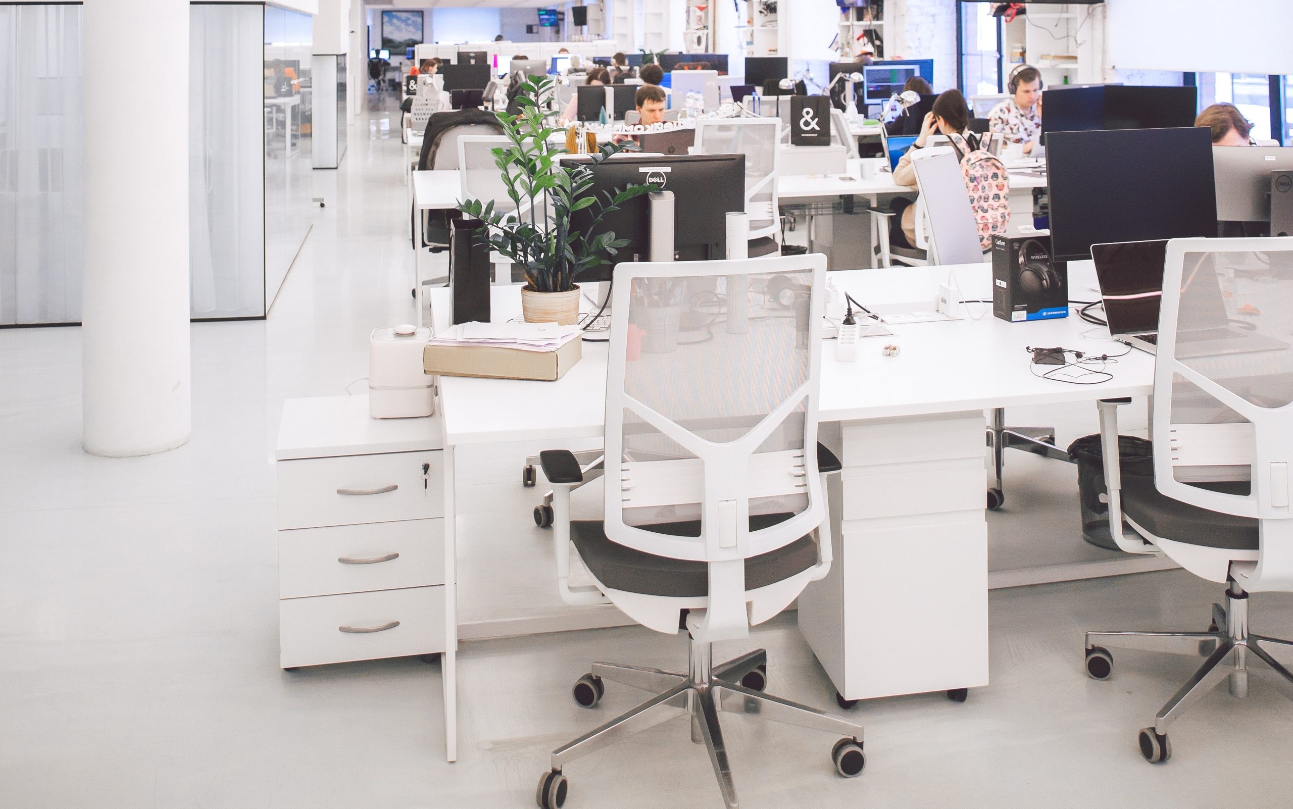 sachbearbeiter_pexels-polina-zimmerman-3778619_2